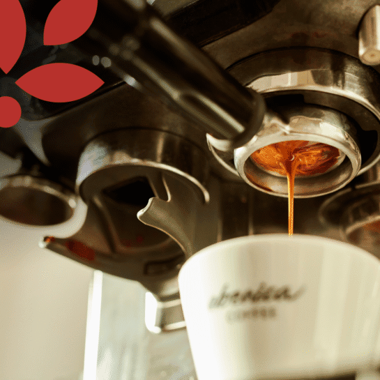 Zbliżenie na ekspres parzący kawę do białej filiżanki z nadrukiem "arabica COFFEE"; w rogu pojawia się czerwony liść. Idealny dla fanów Pakietu degustacyjnego Kawy klasyczne - doskonały dla degustatorów kawy i miłośników klasycznych smaków.